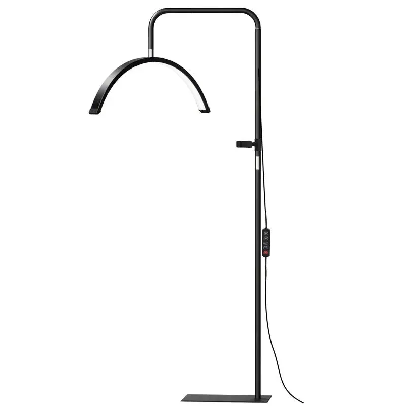 LED Floor Lamp with Half-Moon Head, Black