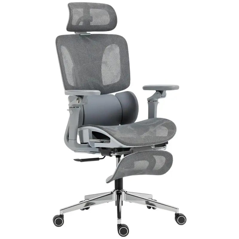 Ergonomic Office Chair with 6D Armrests, Grey Mesh