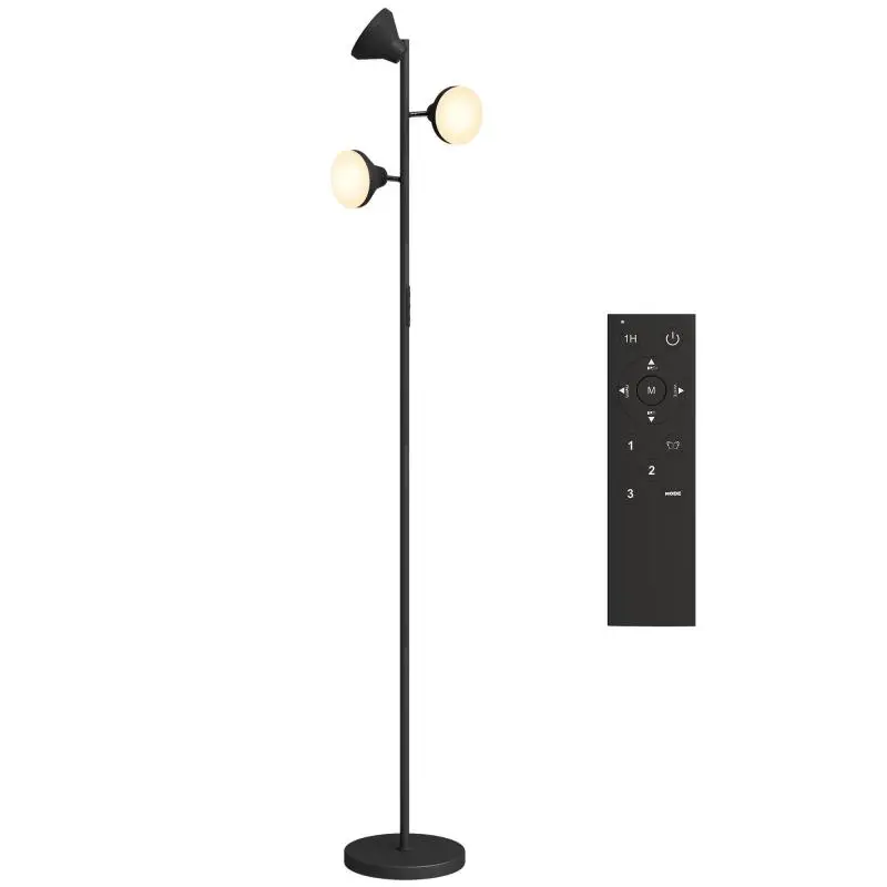 Floor Lamp with 3 Adjustable Heads, Remote Control and Timer