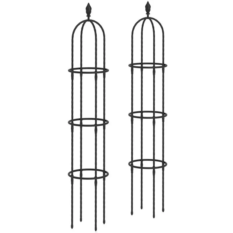 Set of 2 Climbing Plant Supports, 174 cm, Black