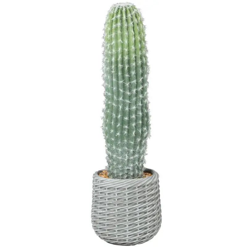 Artificial Cactus 66 cm with Pot, Green