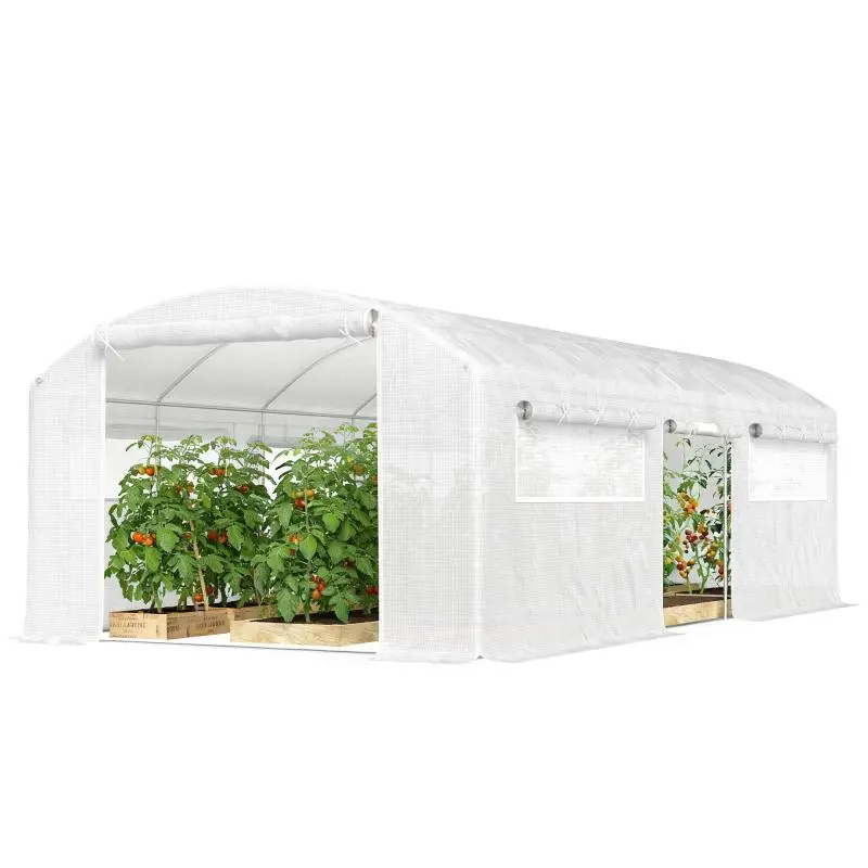 Tunnel Greenhouse 6 x 3 x 2 m with 3 Roll-Up Doors
