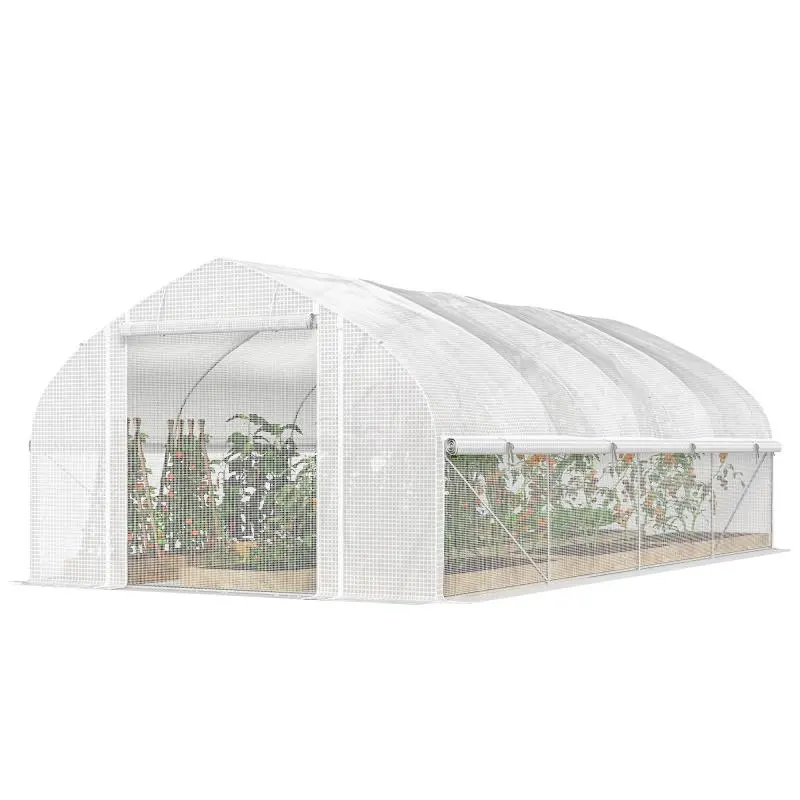 Tunnel Greenhouse, 595 x 300 x 200 cm