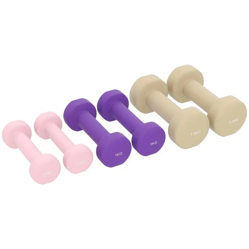6-Piece Dumbbell Set with Case