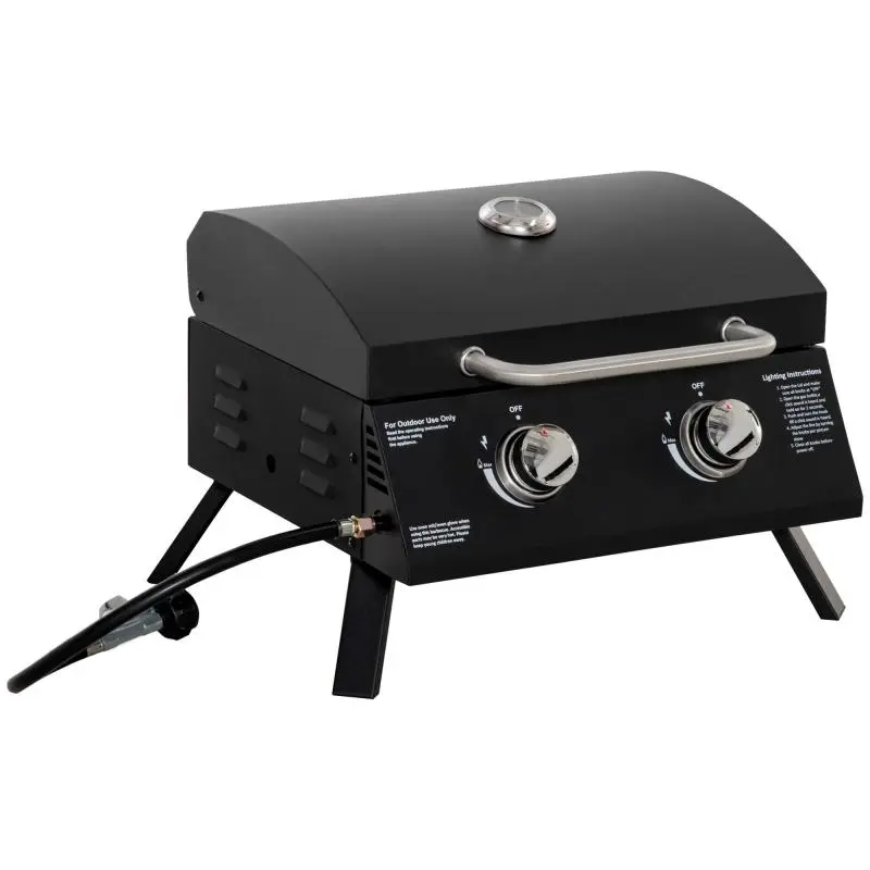 Foldable Gas Barbecue with 2 Burners, Black