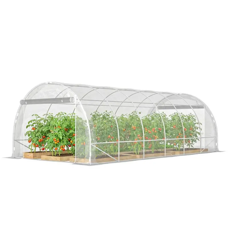 Garden Tunnel Greenhouse, 296 × 597 × 199 cm