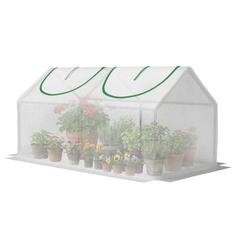 Mini Greenhouse with 2 Roll-Up Windows