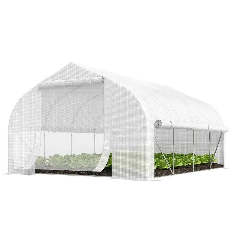 Tunnel Greenhouse with 8 Windows and Mesh Door