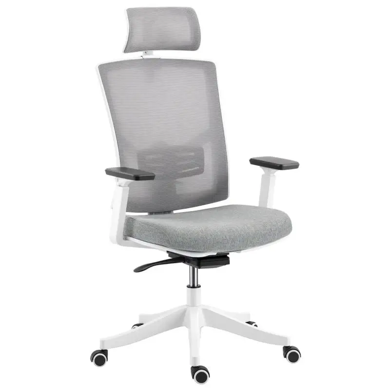 Ergonomic Office Chair with 4D Lumbar Support, Grey