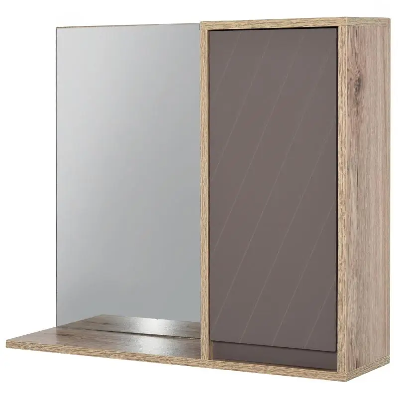Bathroom Mirror Cabinet with Shelf
