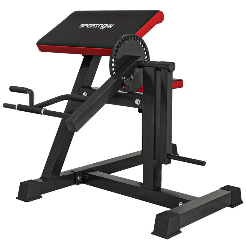 2-in-1 Roman Bench for Curls and Triceps