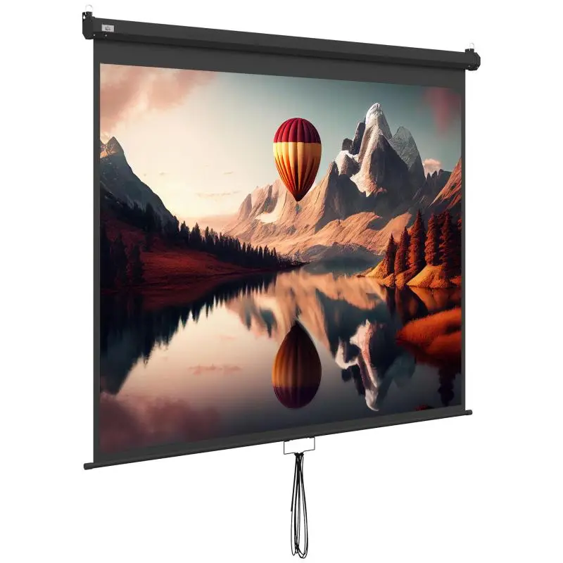 100 Inch Adjustable Projector Screen