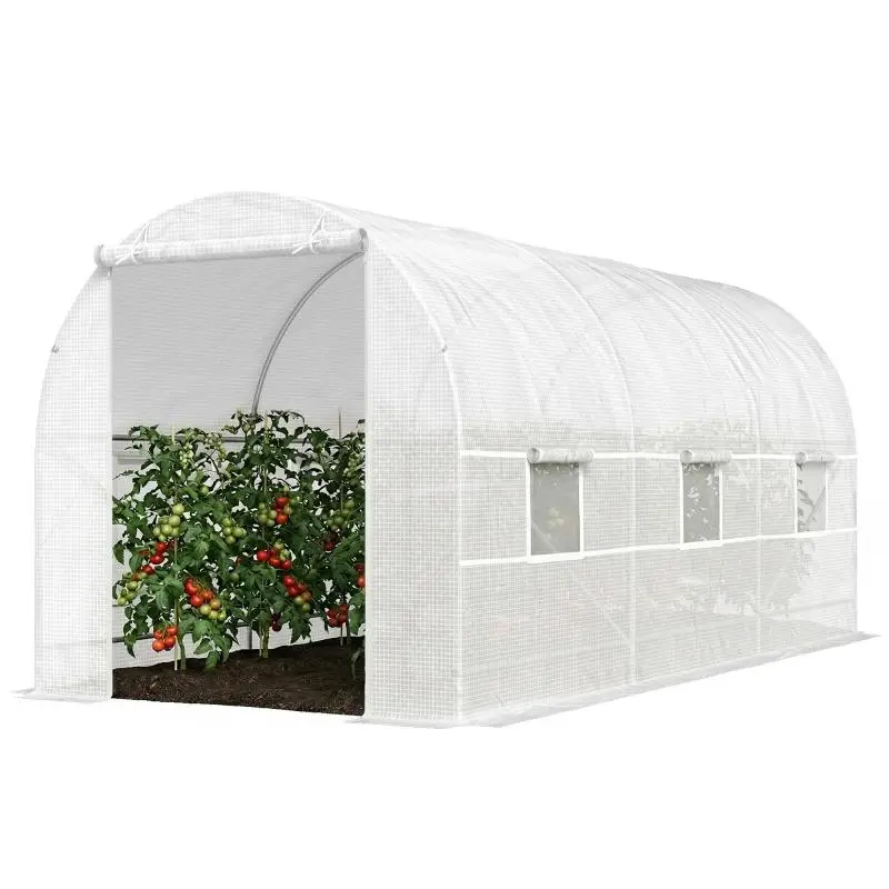 Tunnel Greenhouse, 9 m² with 6 Windows