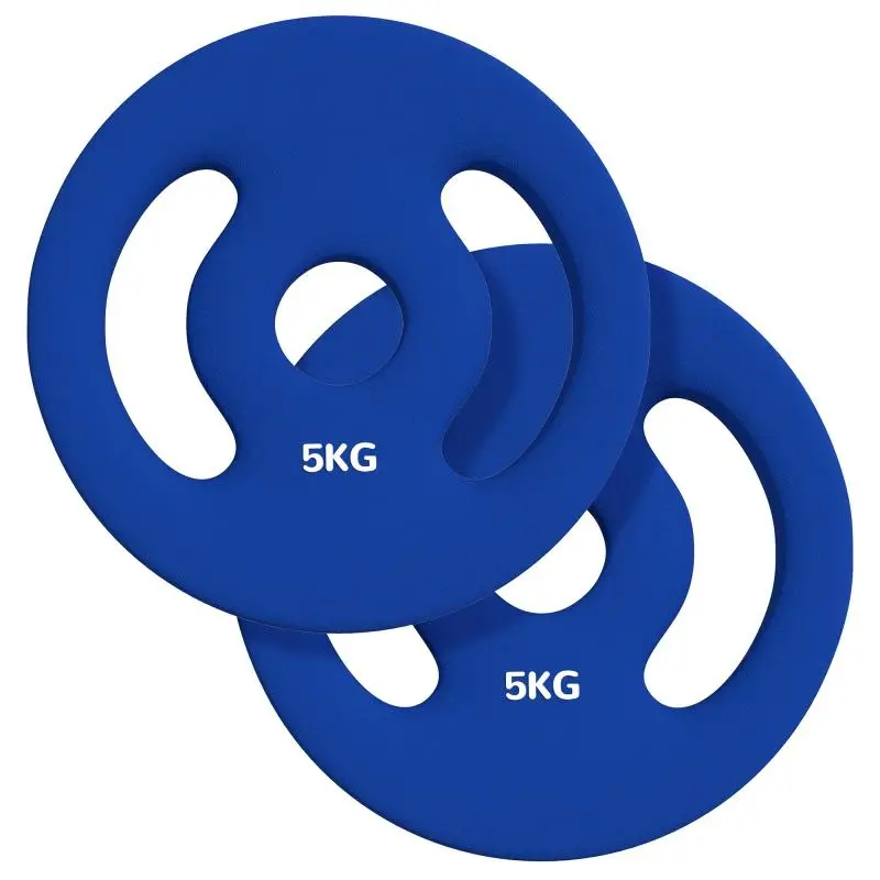 2 x 5 kg Weight Plates with Handles