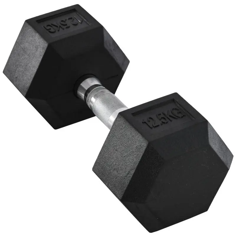 12.5 kg Cast Iron Hexagonal Dumbbell, Rubber Coated Steel Weights for Home Gym Training